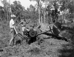 011873D: Sawing a log, Fairbridge Farm, 1954