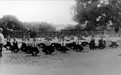 Physical fitness at Busselton [picture]