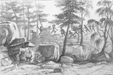 Attack of natives near Hanover Bay [art reproduction]