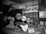 Window display for Pioneer Tours in Tasmania [picture]