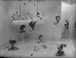 Boans Ltd. women's fashion display [picture]