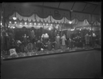 Boans Ltd window display of women's clothing [picture]