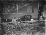 019143PD: Girls feeds kangaroos, 1900s