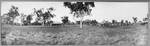 Newry Station in Northern Territory [picture]
