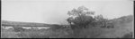 Victoria River, Northern Territory, near depot