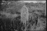 085077PD Erikson Family, 1696