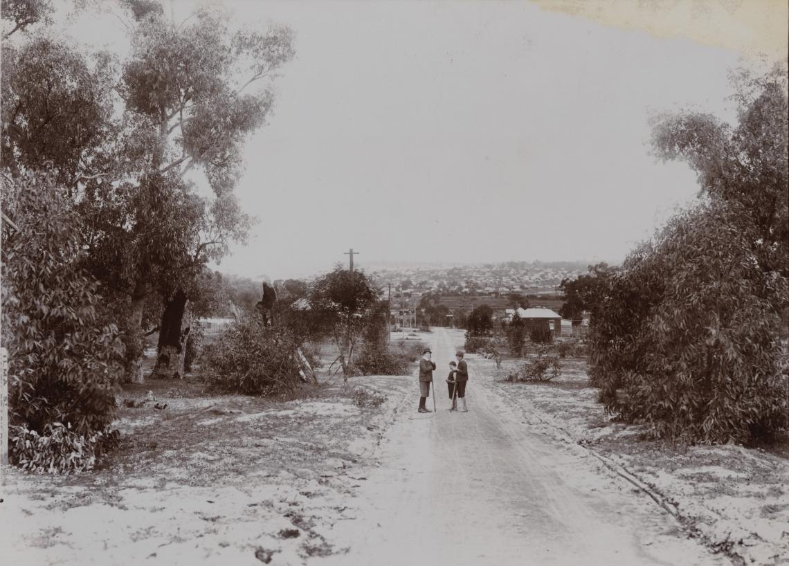A rural road near Perth ca1910