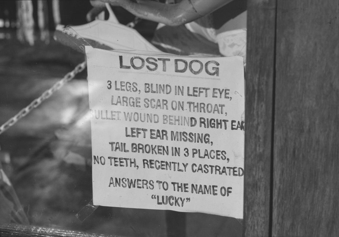 Sign for a lost dog Kalgoorlie 1990