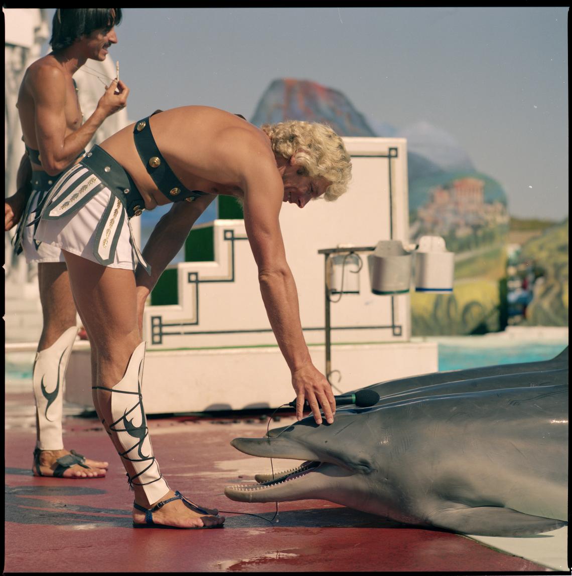 389387PD The dolphin show at Atlantis Marine Park Two Rocks 1984