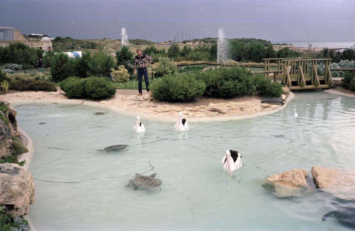 Atlantis Marine Park 1985