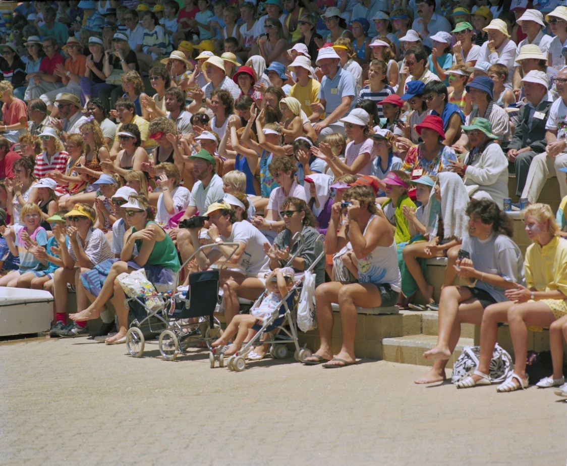 A crowd watches the show at Atlantis Marine Park Two Rocks 17 December 1987