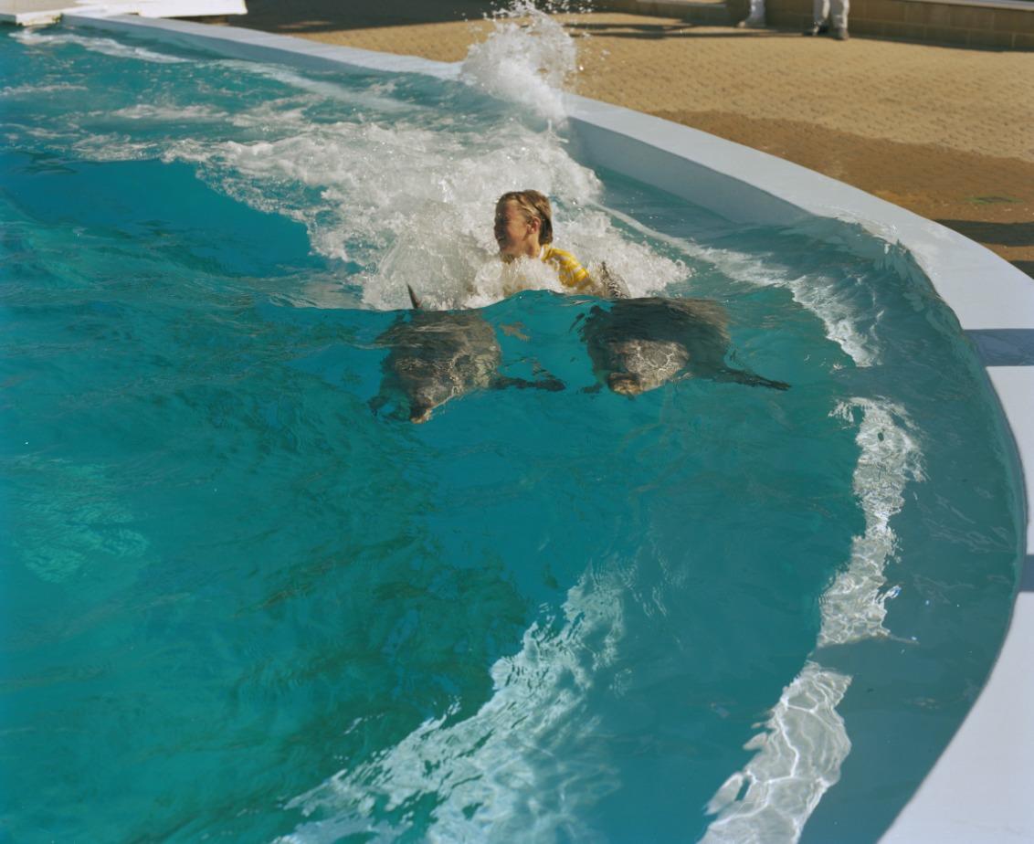Swimming with dolphins at Atlantis Marine Park Two Rocks 17 December 1987