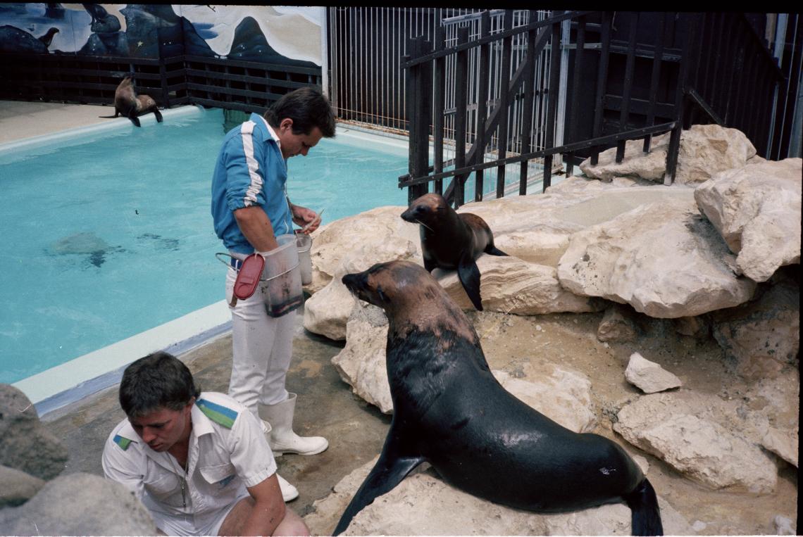 Atlantis Marine Park 1985