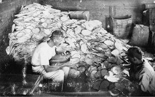 Examining pearl shells 1920s 007746d