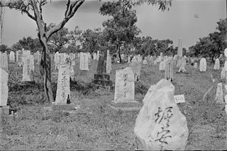 Japanese Cemetery Broome 1948 022606pd