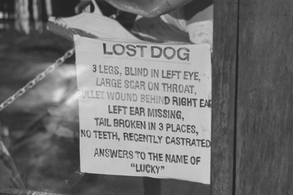 Sign for a lost dog Kalgoorlie 1990