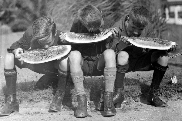 Boys eating watermelon 1929
