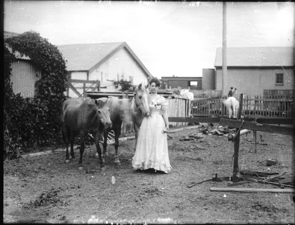 Agnes Hyland and her educated ponies ca1905