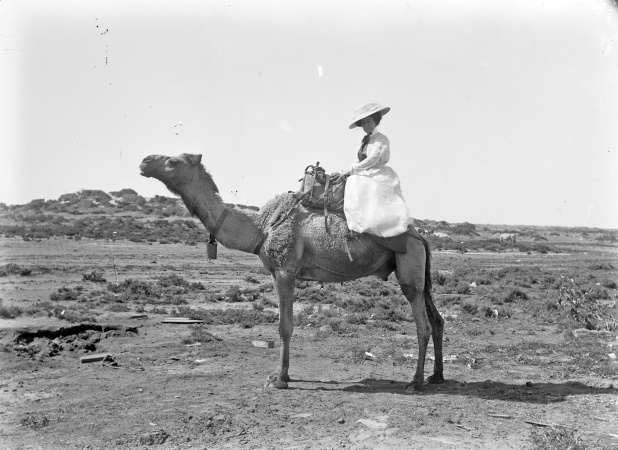 Riding a camel Port Hedland ca 1910
